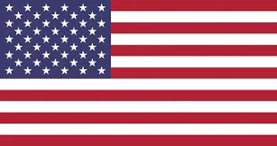 american flag-Eagan